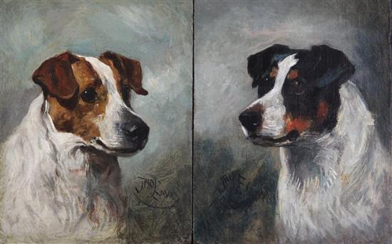 John Emms (1843-1912) Head studies of terriers 9 x 7in., unframed